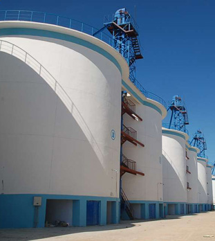 av成人app永久免费