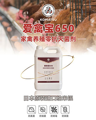 av成人app永久免费