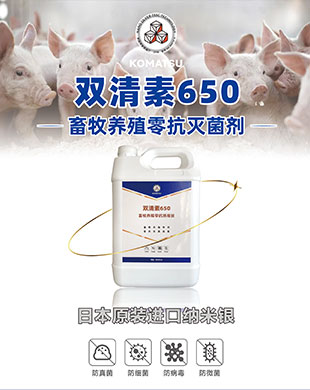 av成人app永久免费