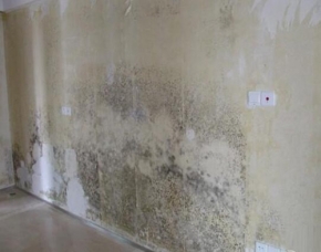 仓库防霉防菌保护