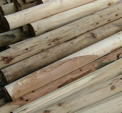 木材无机防霉防菌保护