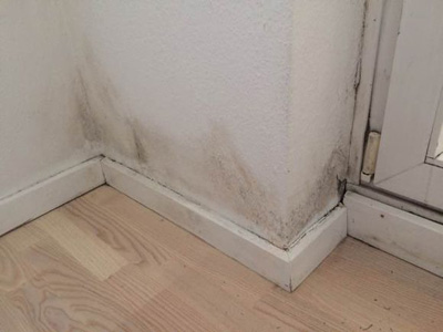 木材阻燃剂生产商 木材阻燃剂生产商