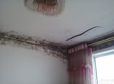 室内墙面涂料防霉保护 室内墙面涂料防霉保护