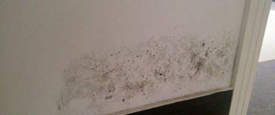 银离子墙体防霉防菌剂 银离子墙体防霉防菌剂