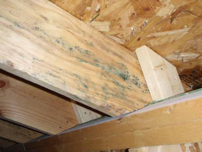 木材无机防霉防菌剂供应商