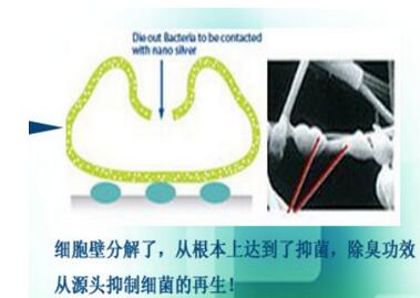 室内墙面涂料防霉保护