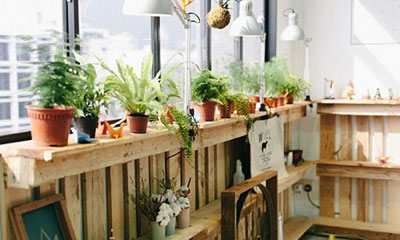 空气除臭 空气除臭