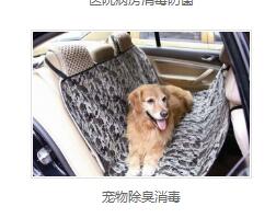 宠物除臭消毒 宠物除臭消毒