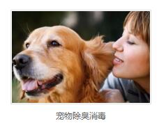 宠物除臭消毒厂家 宠物除臭消毒厂家