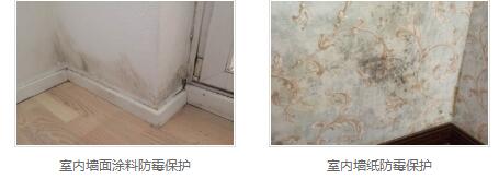 银离子墙体防霉防菌剂 银离子墙体防霉防菌剂