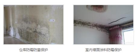 银离子墙体防霉防菌剂生产商 银离子墙体防霉防菌剂生产商