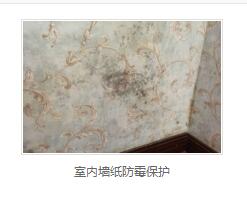 银离子墙体防霉防菌剂价格