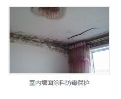 银离子墙体防霉防菌剂生产厂家