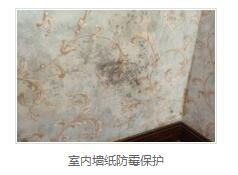 银离子墙体防霉防菌剂价格 银离子墙体防霉防菌剂价格