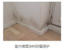 银离子墙体防霉防菌剂生产商 银离子墙体防霉防菌剂生产商