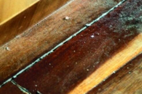 空气除臭供应商