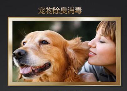 空气除臭厂家