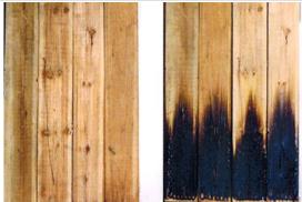 银离子墙体防霉防菌剂特点