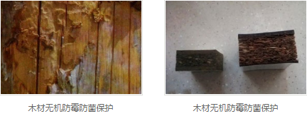 木材无机防霉防菌保护要求
