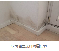 银离子墙体防霉防菌剂用途 银离子墙体防霉防菌剂用途