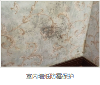 银离子墙体防霉防菌剂价格 银离子墙体防霉防菌剂价格