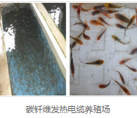 电采暖优势 电采暖优势