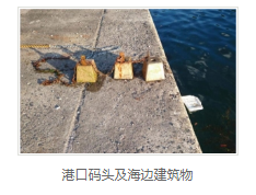 混凝土防水价格 混凝土防水价格