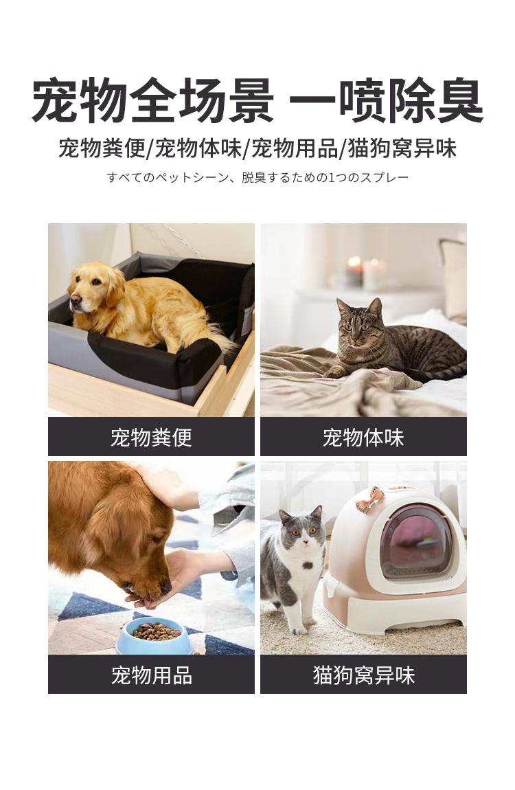 av成人app永久免费