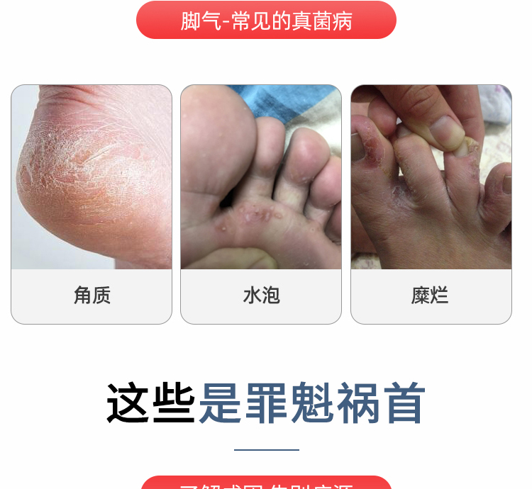av成人app永久免费