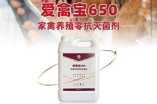 纳米银灭菌剂厂家